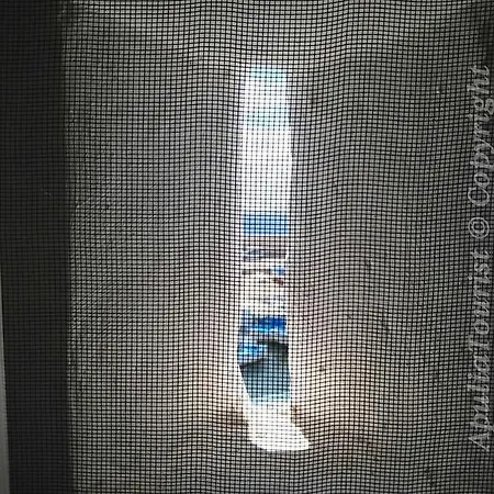 Fronte Del Porto Casa vacanze *